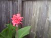 100_7002.JPG