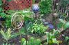 garden_pics_003.jpg