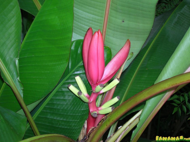 watermark.php?file=2446&amp;size=1&amp;filefix=.jpg