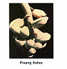 pisang-kates-pisang-kates.png