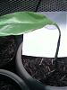 leaf-damaged-plant-1011080433-2-.jpg.jpg
Views:	16
Size:	121.5 KB
ID:	870