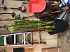 new-bananas-need-some-winter-advice-img_0014.jpg